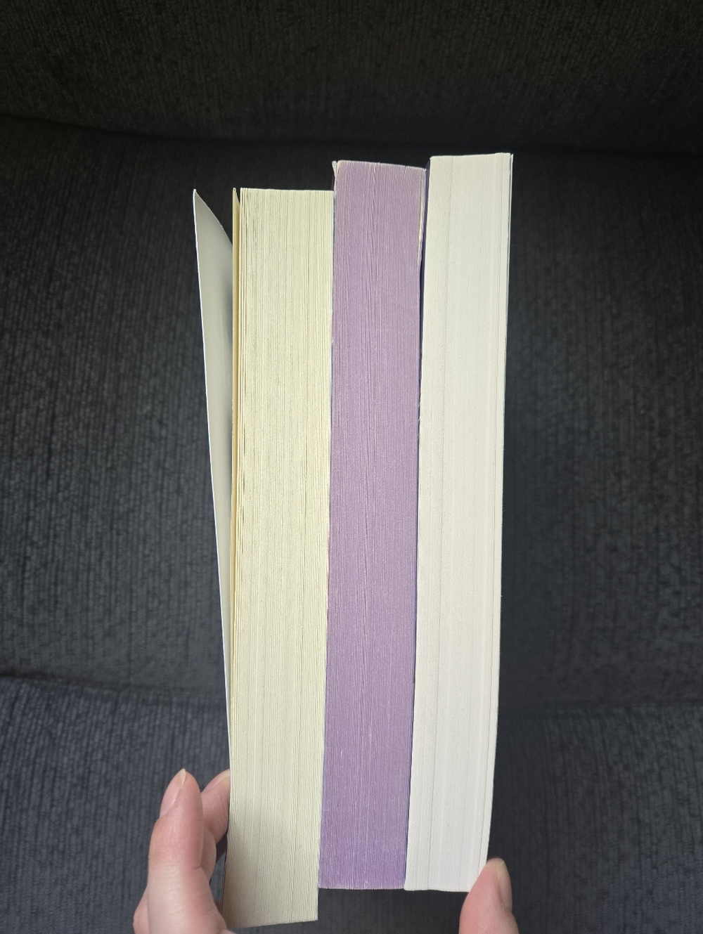 Assistant To The Villain Book Series #1-3 By Hannah Nicocle Maehrer - Picture 9 of 9